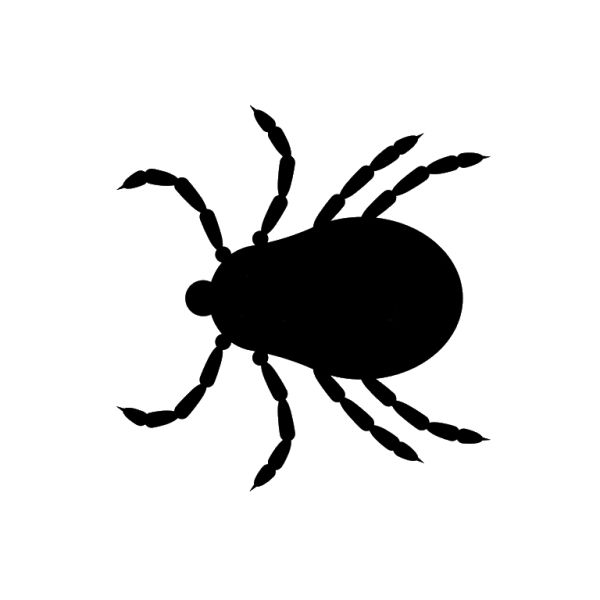 蜱虫PNG免抠图透明素材 16设计网编号:51943