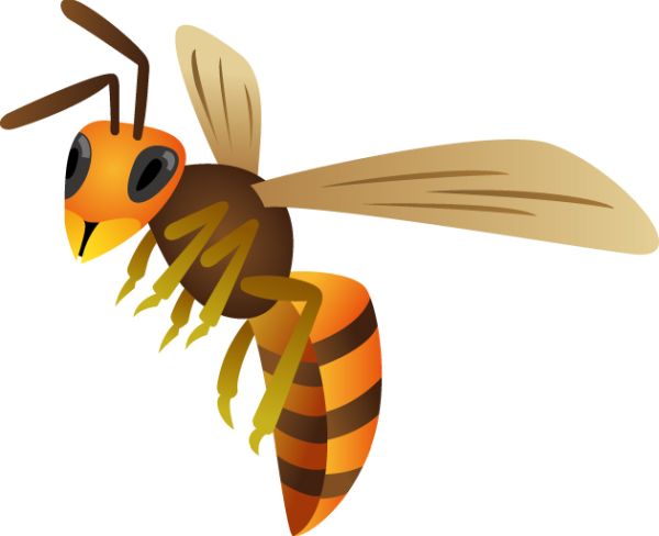 黄蜂 PNG免抠图透明素材 16设计网编号:74595