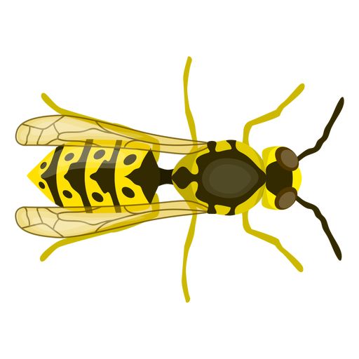 黄蜂 PNG透明背景免抠图元素 素材中国编号:74581