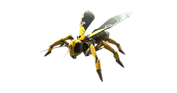 黄蜂 PNG透明背景免抠图元素 16图库网编号:74626