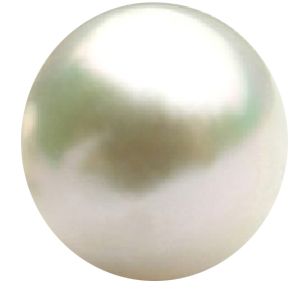珍珠PNG透明元素免抠图素材 16素材网编号:22187
