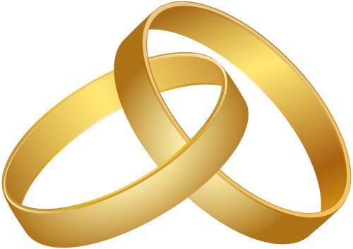 结婚戒指 PNG免抠图透明素材 16设计网编号:53840