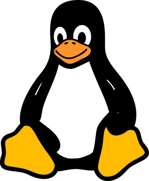 Linux logo PNG免抠图透明素材 普贤居素材编号:26982