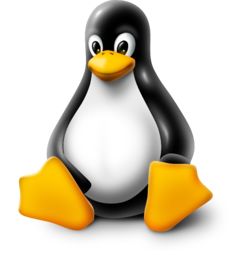 Linux logo PNG免抠图透明素材 普贤居素材编号:26985