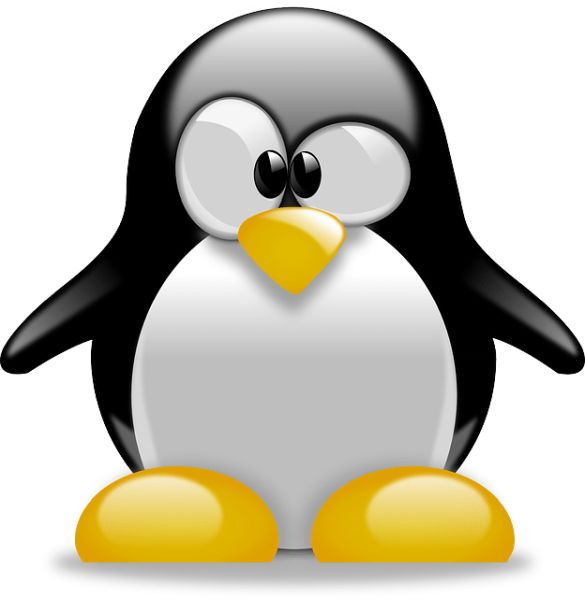 Linux logo PNG免抠图透明素材 普贤居素材编号:27021