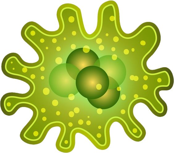 细菌 PNG透明元素免抠图素材 16素材网编号:43391