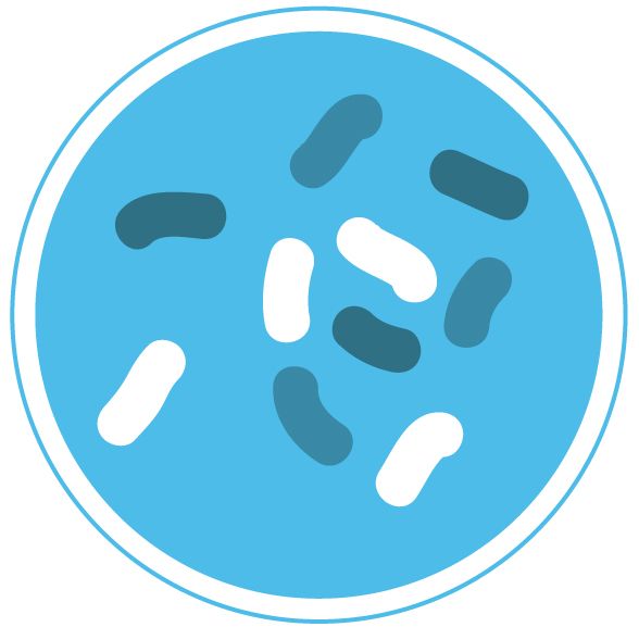 细菌 PNG免抠图透明素材 素材天下编号:43409