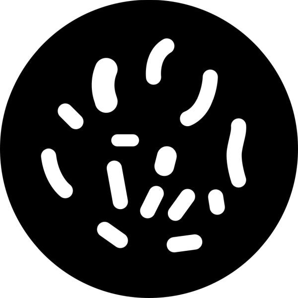 细菌 PNG免抠图透明素材 16设计网编号:43411