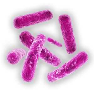 细菌 PNG免抠图透明素材 素材中国编号:43414