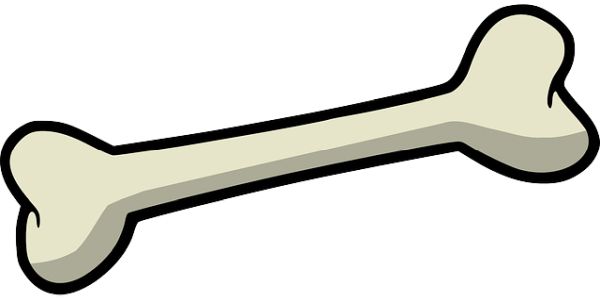 骨头 PNG免抠图透明素材 素材天下编号:46837