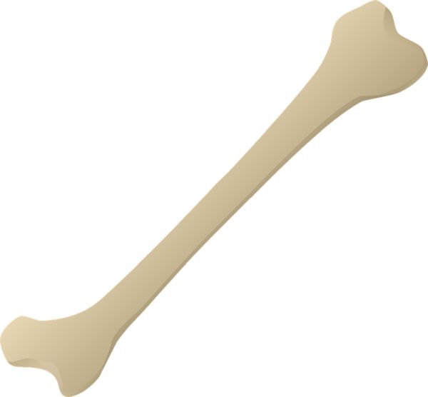 骨头 PNG免抠图透明素材 素材天下编号:46845