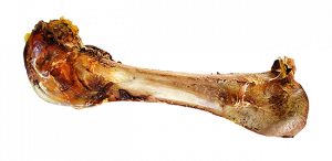 骨头 PNG透明背景免抠图元素 素材中国编号:46861