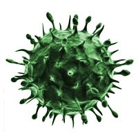 冠状病毒 PNG免抠图透明素材 16设计网编号:92524