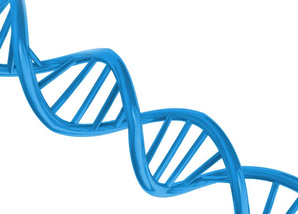 DNA PNG透明背景免抠图元素 素材中国编号:48537