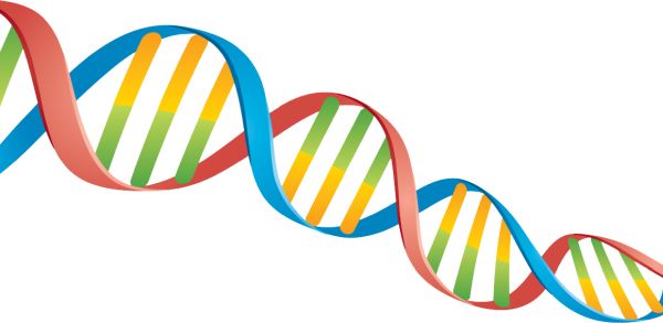 DNA PNG透明背景免抠图元素 素材中国编号:48546