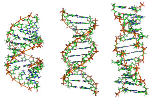 DNA PNG免抠图透明素材 普贤居素材编号:100723