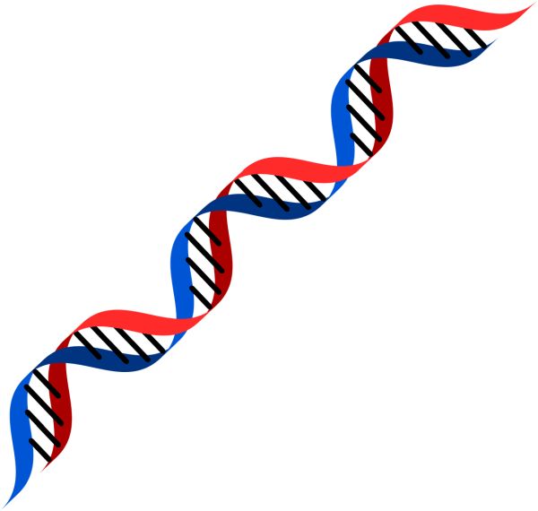 DNA PNG透明背景免抠图元素 16图库网编号:100725