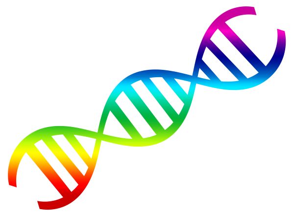 DNA PNG透明背景免抠图元素 16图库网编号:100727