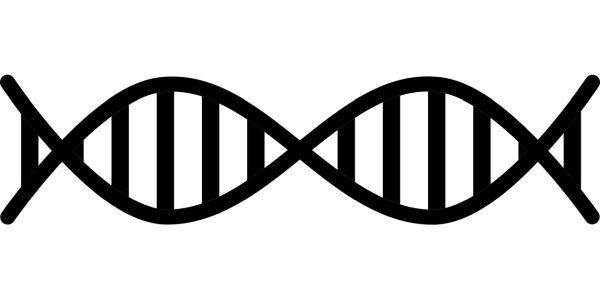 DNA PNG免抠图透明素材 普贤居素材编号:100729