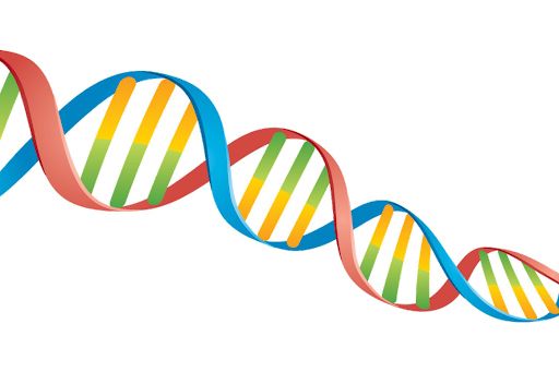 DNA PNG免抠图透明素材 16设计网编号:100733