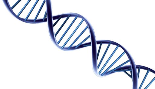 DNA PNG透明背景免抠图元素 素材中国编号:100735