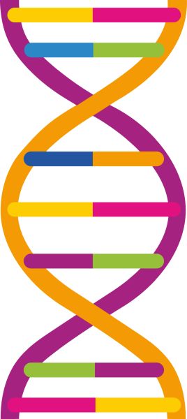 DNA PNG免抠图透明素材 普贤居素材编号:48548