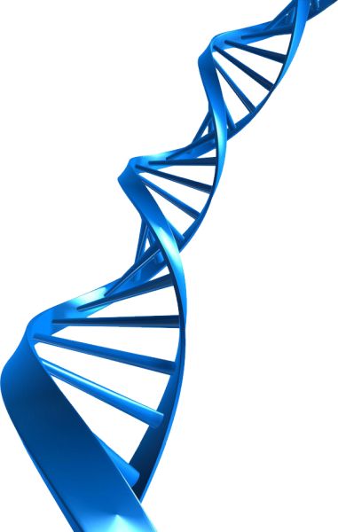 DNA PNG透明背景免抠图元素 素材中国编号:48549