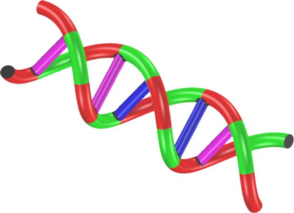 DNA PNG透明背景免抠图元素 16图库网编号:48555