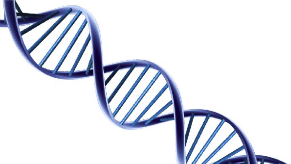 DNA PNG免抠图透明素材 普贤居素材编号:48564