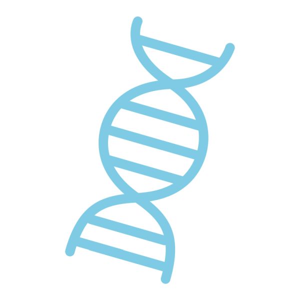DNA PNG透明背景免抠图元素 16图库网编号:48568