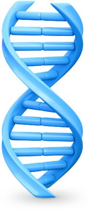 DNA PNG透明背景免抠图元素 16图库网编号:48569
