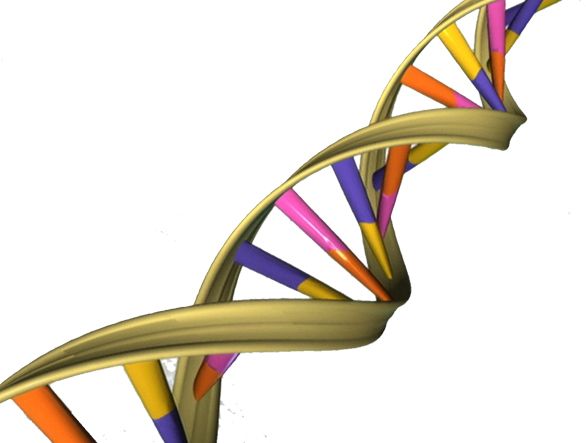 DNA PNG透明背景免抠图元素 16图库网编号:48570