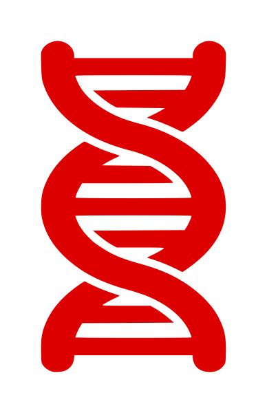 DNA PNG透明背景免抠图元素 16图库网编号:48573