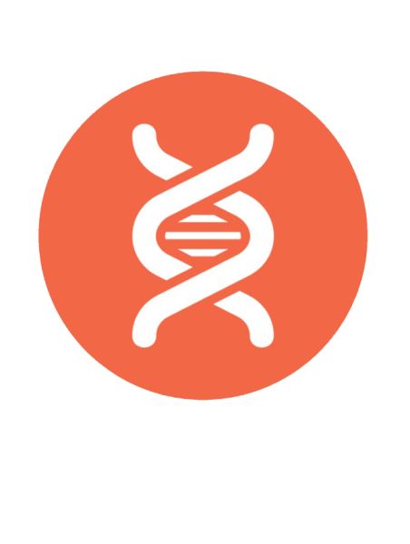 DNA PNG透明背景免抠图元素 素材中国编号:48540