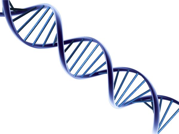 DNA PNG透明背景免抠图元素 16图库网编号:48576