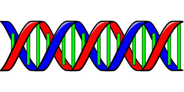 DNA PNG透明背景免抠图元素 素材中国编号:48578
