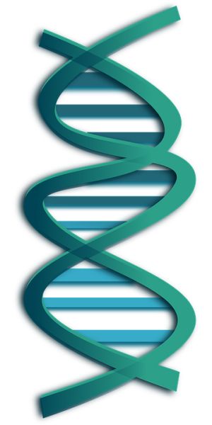 DNA PNG透明背景免抠图元素 16图库网编号:48579