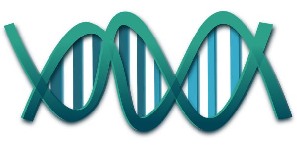DNA PNG透明背景免抠图元素 16图库网编号:48580