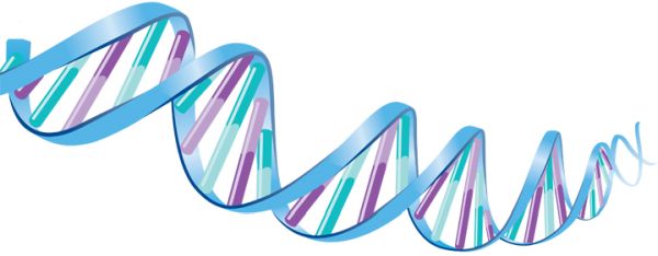 DNA PNG透明元素免抠图素材 16素材网编号:48584