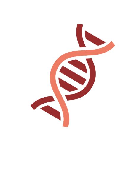 DNA PNG透明背景免抠图元素 素材中国编号:48541