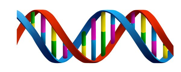 DNA PNG免抠图透明素材 普贤居素材编号:48588