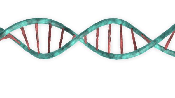 DNA PNG透明背景免抠图元素 16图库网编号:48589