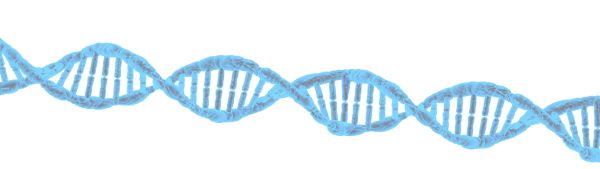 DNA PNG透明背景免抠图元素 16图库网编号:48593