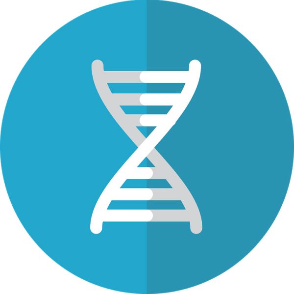 DNA PNG透明背景免抠图元素 16图库网编号:48597