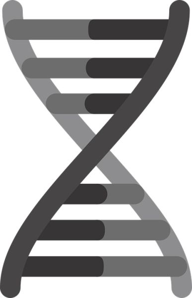 DNA PNG透明背景免抠图元素 素材中国编号:48598