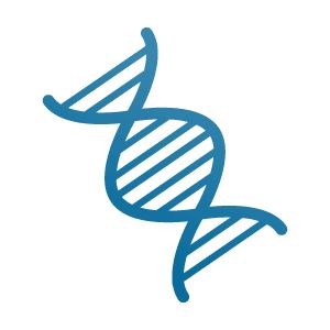 DNA PNG透明背景免抠图元素 16图库网编号:48599