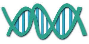 DNA PNG透明背景免抠图元素 16图库网编号:48600