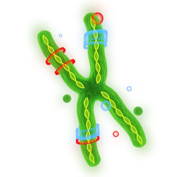 DNA PNG透明背景免抠图元素 16图库网编号:48602