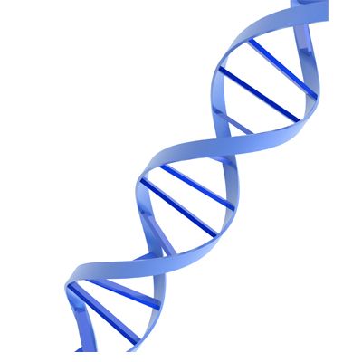 DNA PNG透明背景免抠图元素 16图库网编号:48603