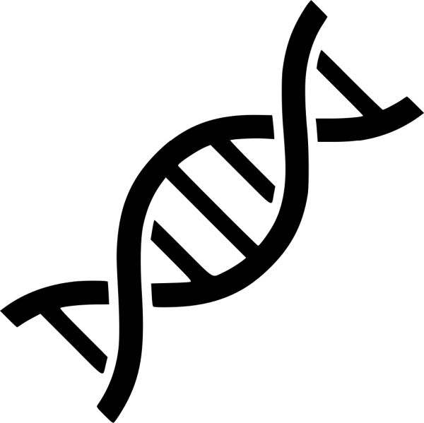 DNA PNG透明背景免抠图元素 素材中国编号:48609